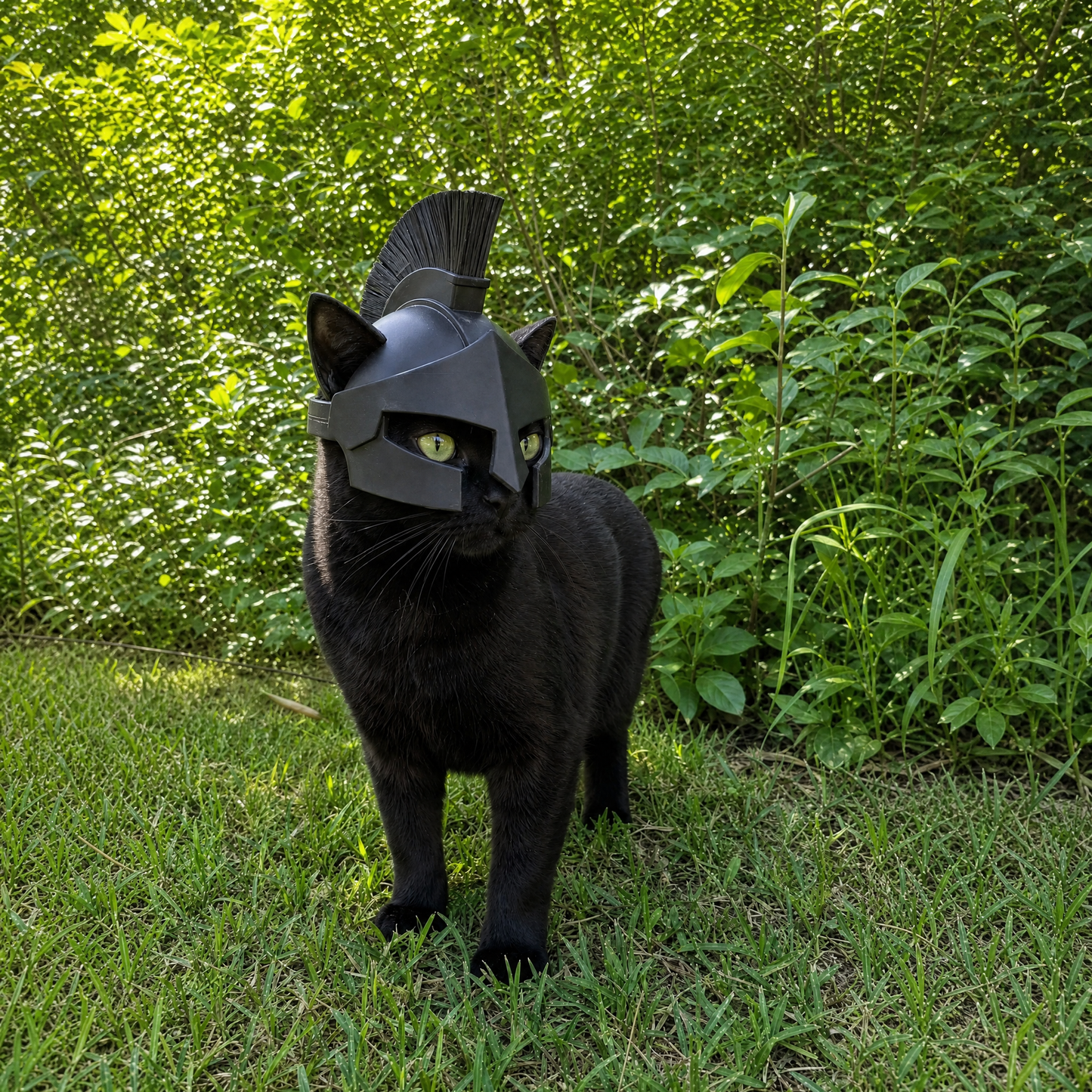 Meowdyssey Helmet